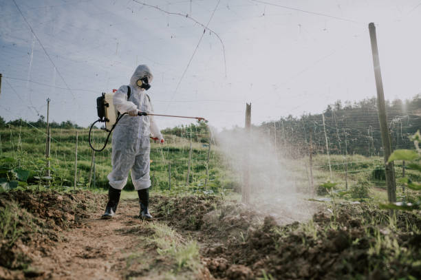 Best Commercial Pest Control Services  in Margaret, AL