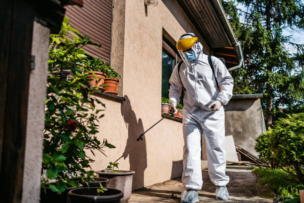 Professional Pest Control in Margaret, AL