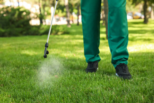 Best Pest Inspection Near Me  in Margaret, AL