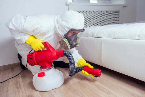 Best Affordable Pest Control Services  in Margaret, AL