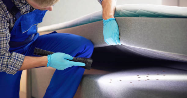 Wasp Removal Services in Margaret, AL