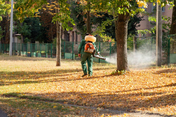 Best Pest Removal Services  in Margaret, AL