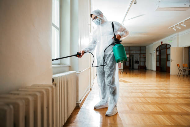 Best Bed Bug Extermination  in Margaret, AL